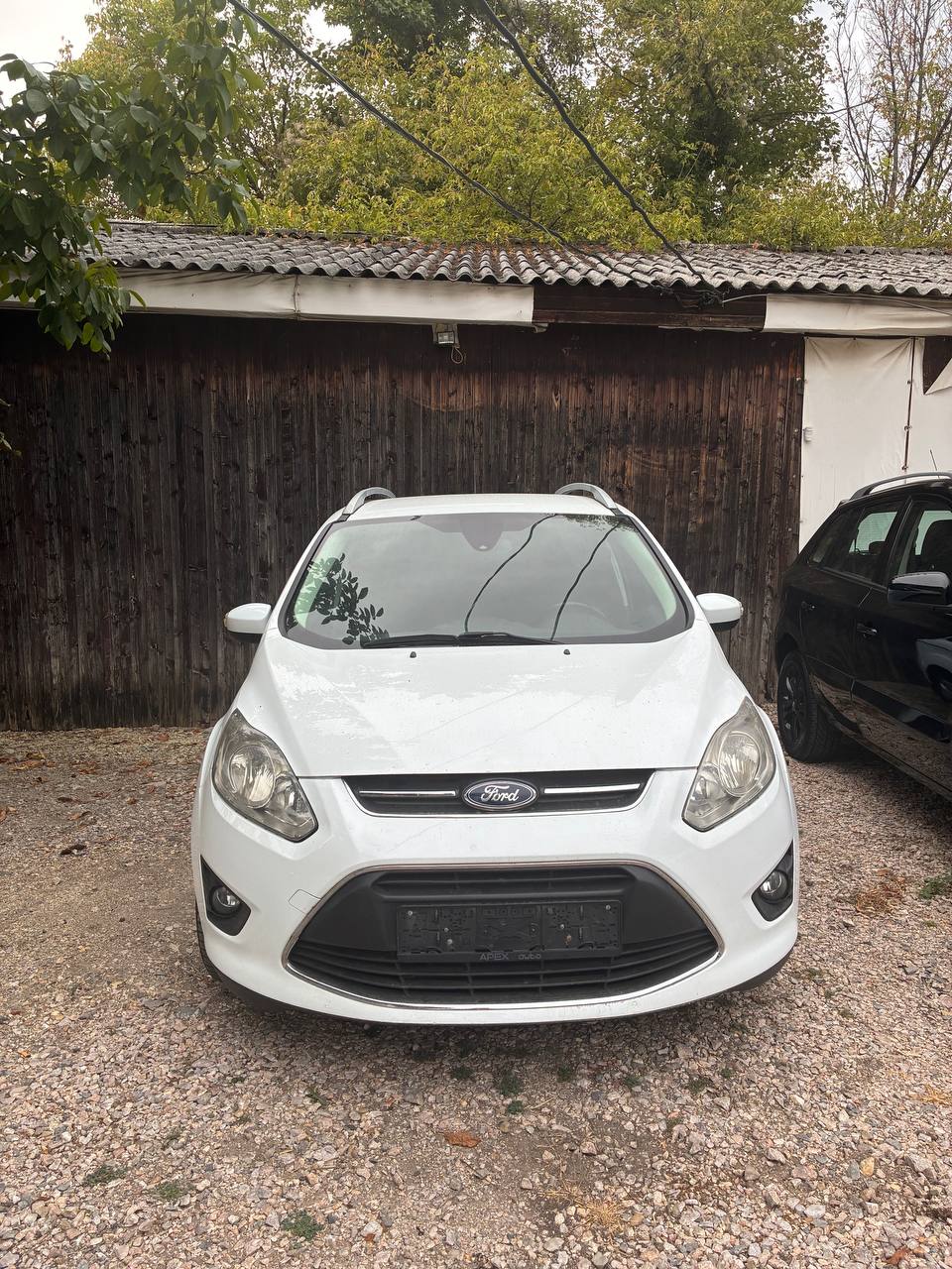 Ford на визаран